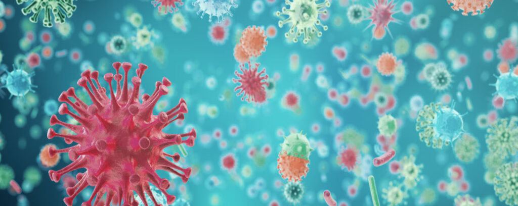 Trichinose solution naturelle