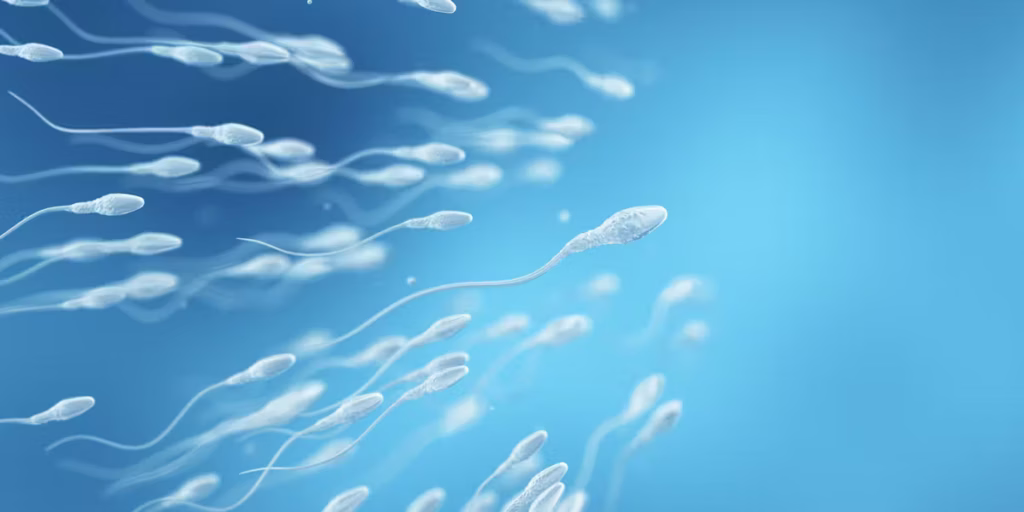 Akinétospermie traitement naturel