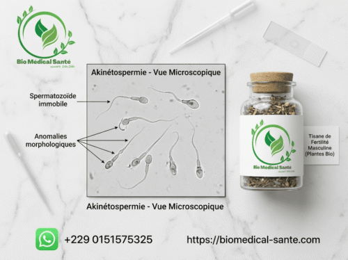 Akinétospermie traitement naturel