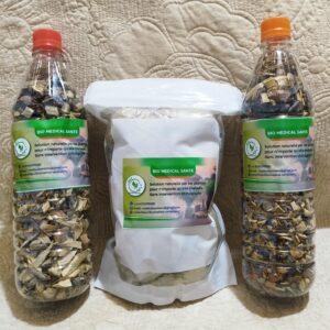 Alzheimer solution naturelle