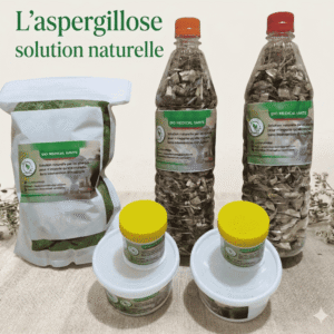 L'aspergillose solution naturelle