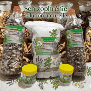 Schizophrénie solution naturelle